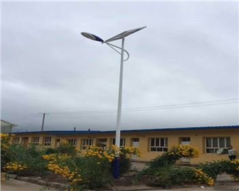 甘肅農(nóng)村太陽能路燈-甘肅定西渭源縣太陽能路燈項目