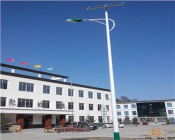 市電景觀路燈-省慶陽市華池縣五蛟鄉(xiāng)中學(xué)路燈工程