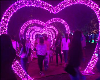 甘肅燈光節(jié)-節(jié)日亮化