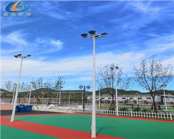 甘肅延安學(xué)校路燈照明項(xiàng)目
